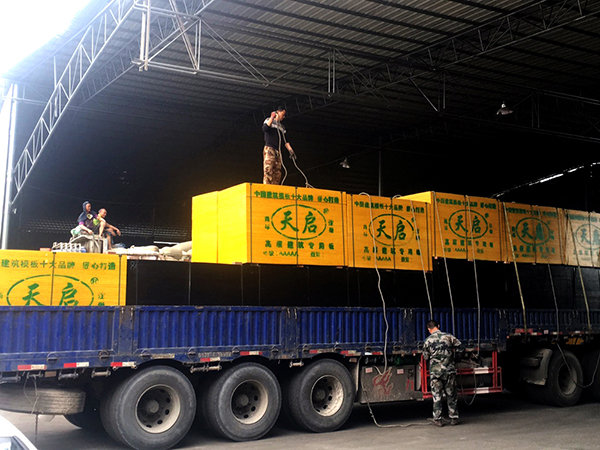 Vģʩr(sh)βϹ(ji)s